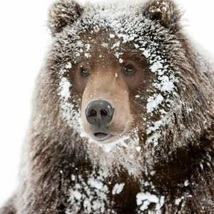 Meet your Posher, Shawn